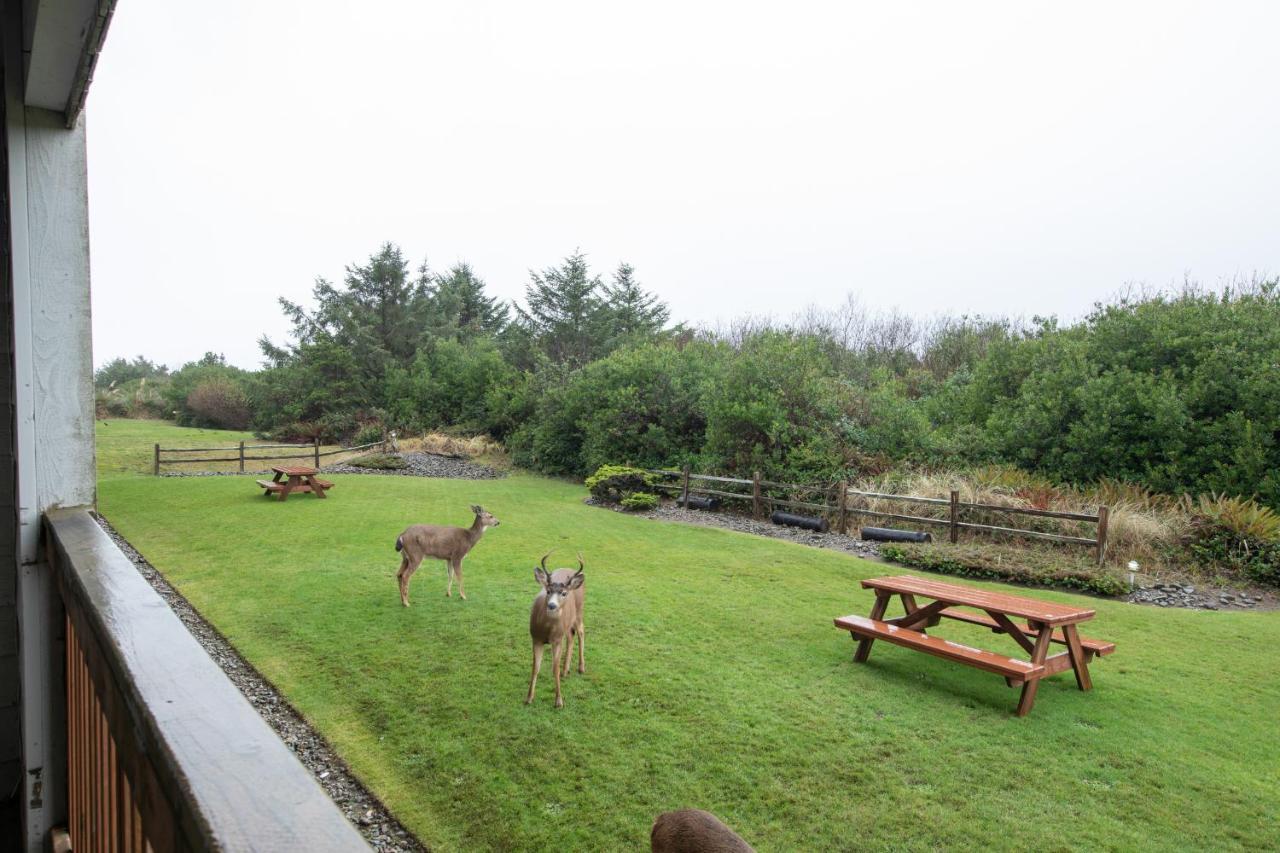 Aurora At Nautilus - Pet Friendly Oceanfront Condo Ocean Shores Exterior photo