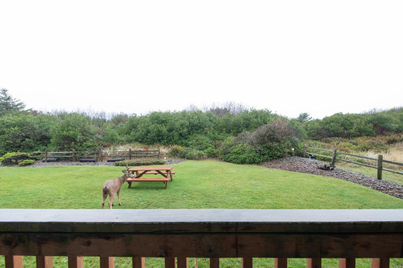Aurora At Nautilus - Pet Friendly Oceanfront Condo Ocean Shores Exterior photo
